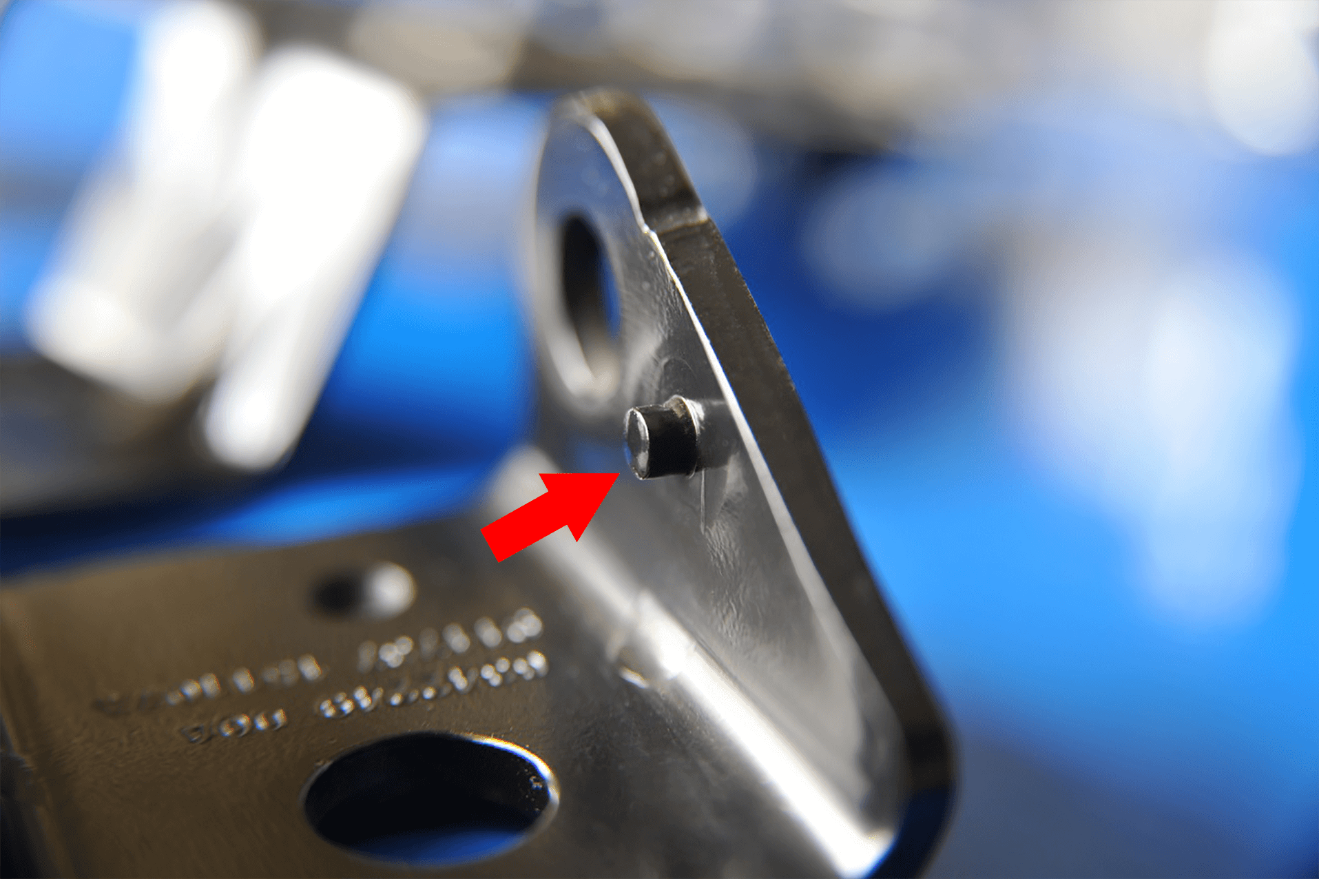 ����͹������