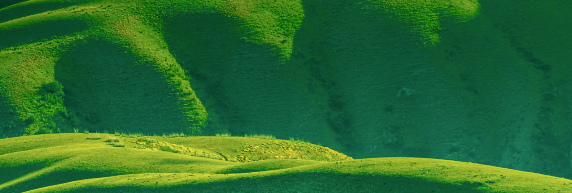 �ɳ�����չ��ŵ